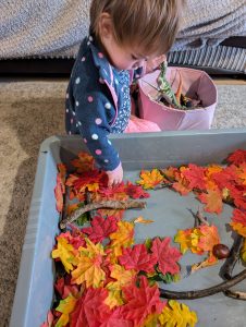Seasonal Activities
