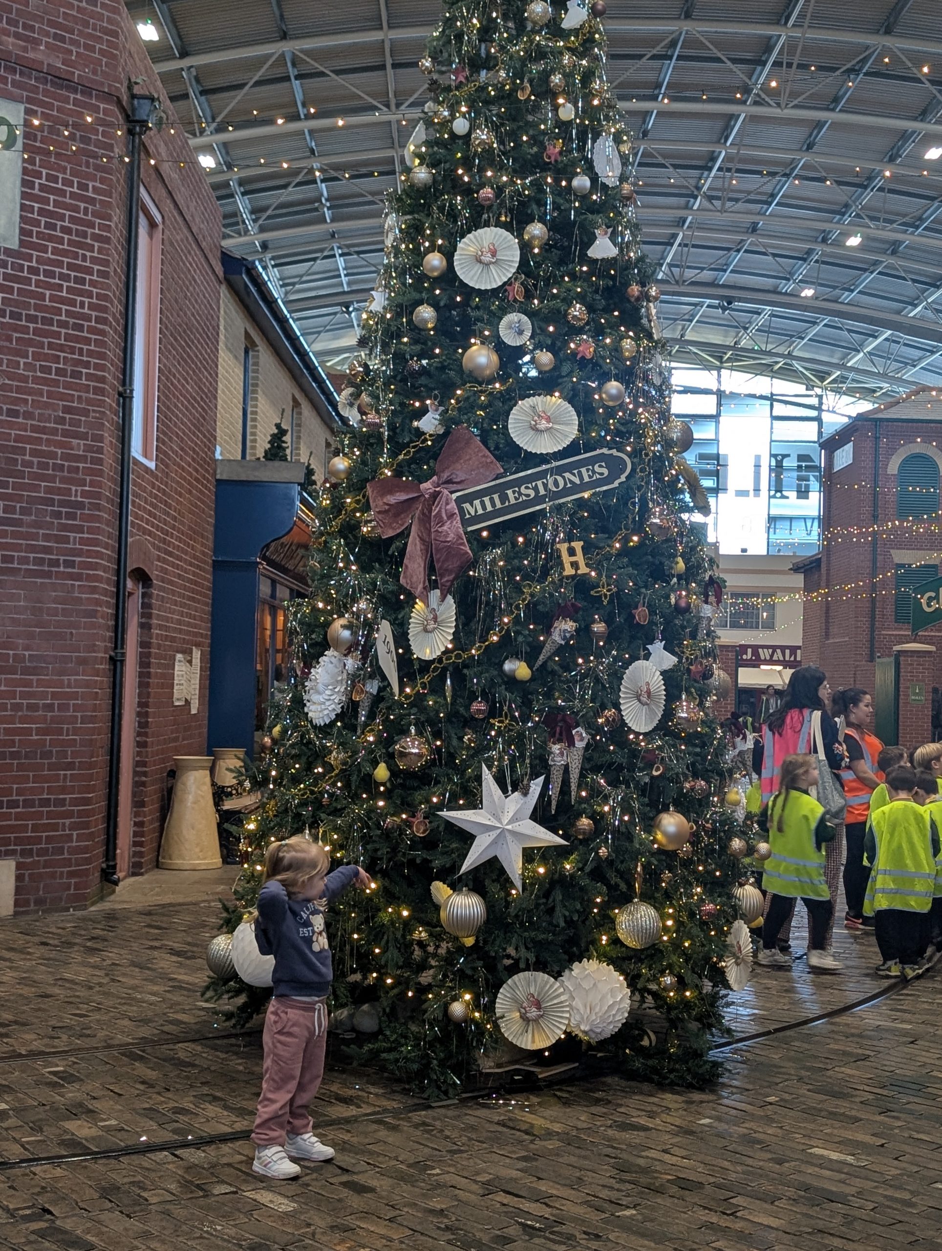 PXL_20251203_113017252