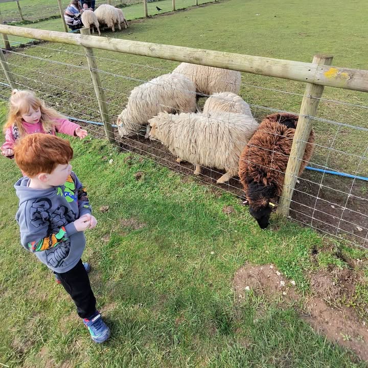 Ash & Claire Childminders 