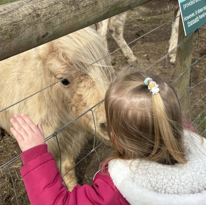 Ash & Claire Childminders 