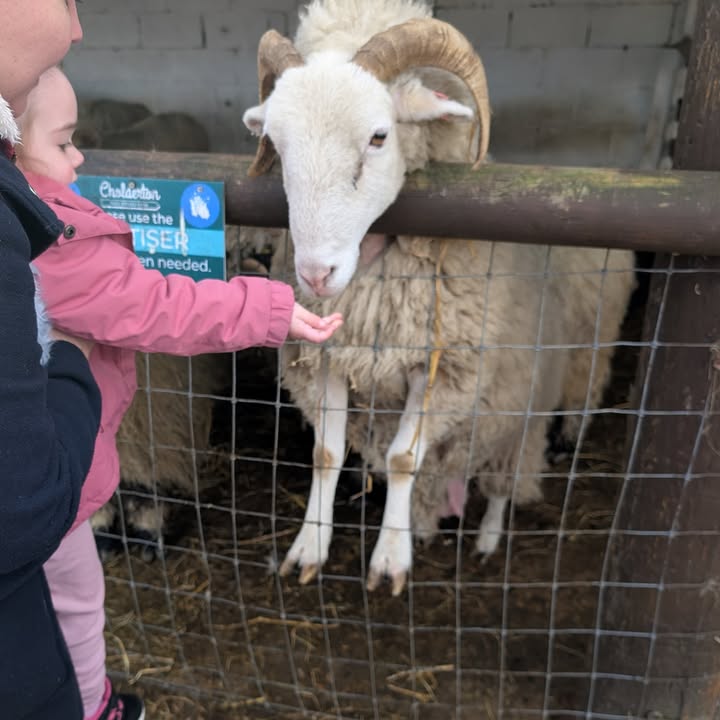 Ash & Claire Childminders 